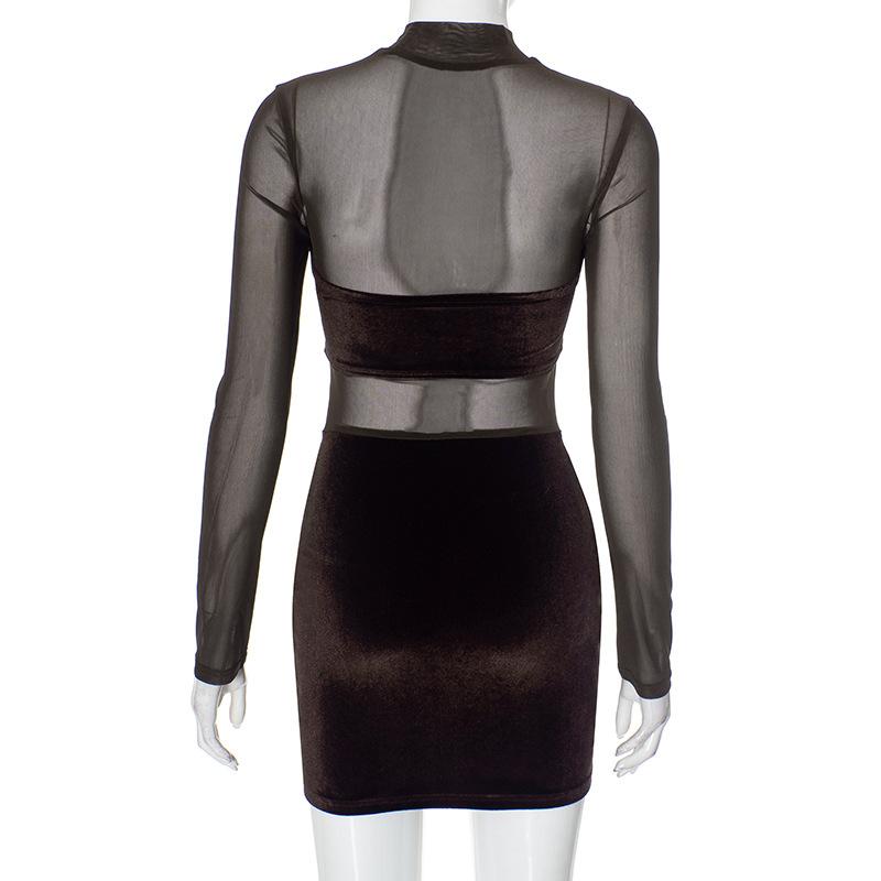 Long sleeve mesh high neck velvet ruched mini dress
